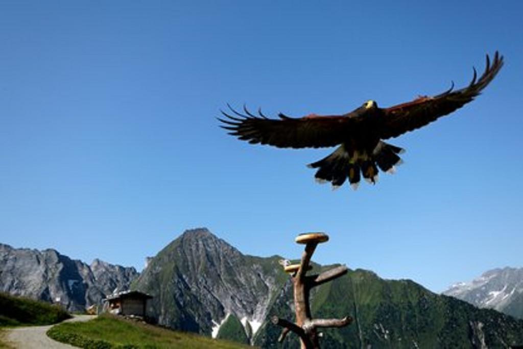 Villa Hubers Chalet Mayrhofen Exterior foto